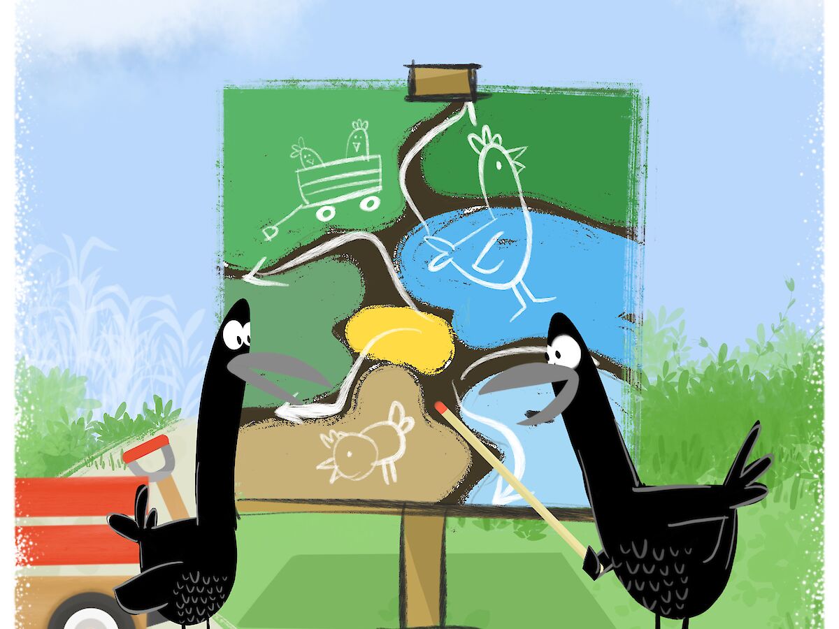 Crows